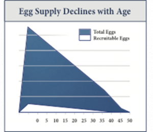 Egg Supply Chart