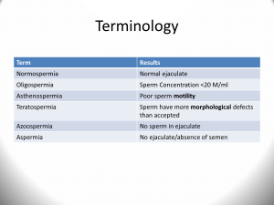 Male infertility terms
